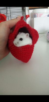 Hamsterhangmat